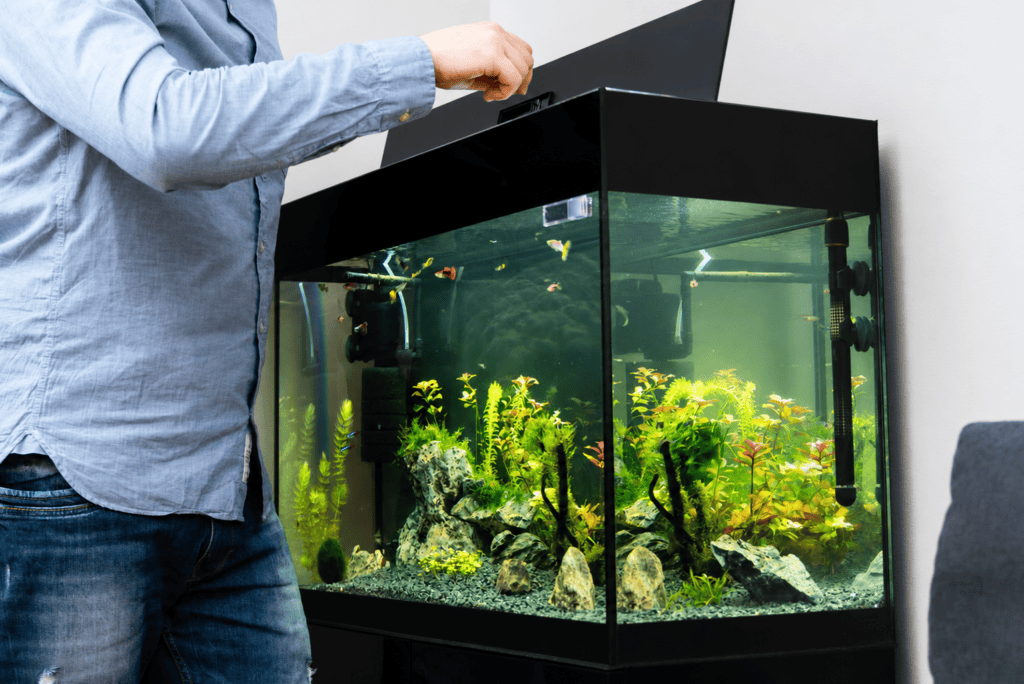 50 Gallon Fish Tank Dimensions
