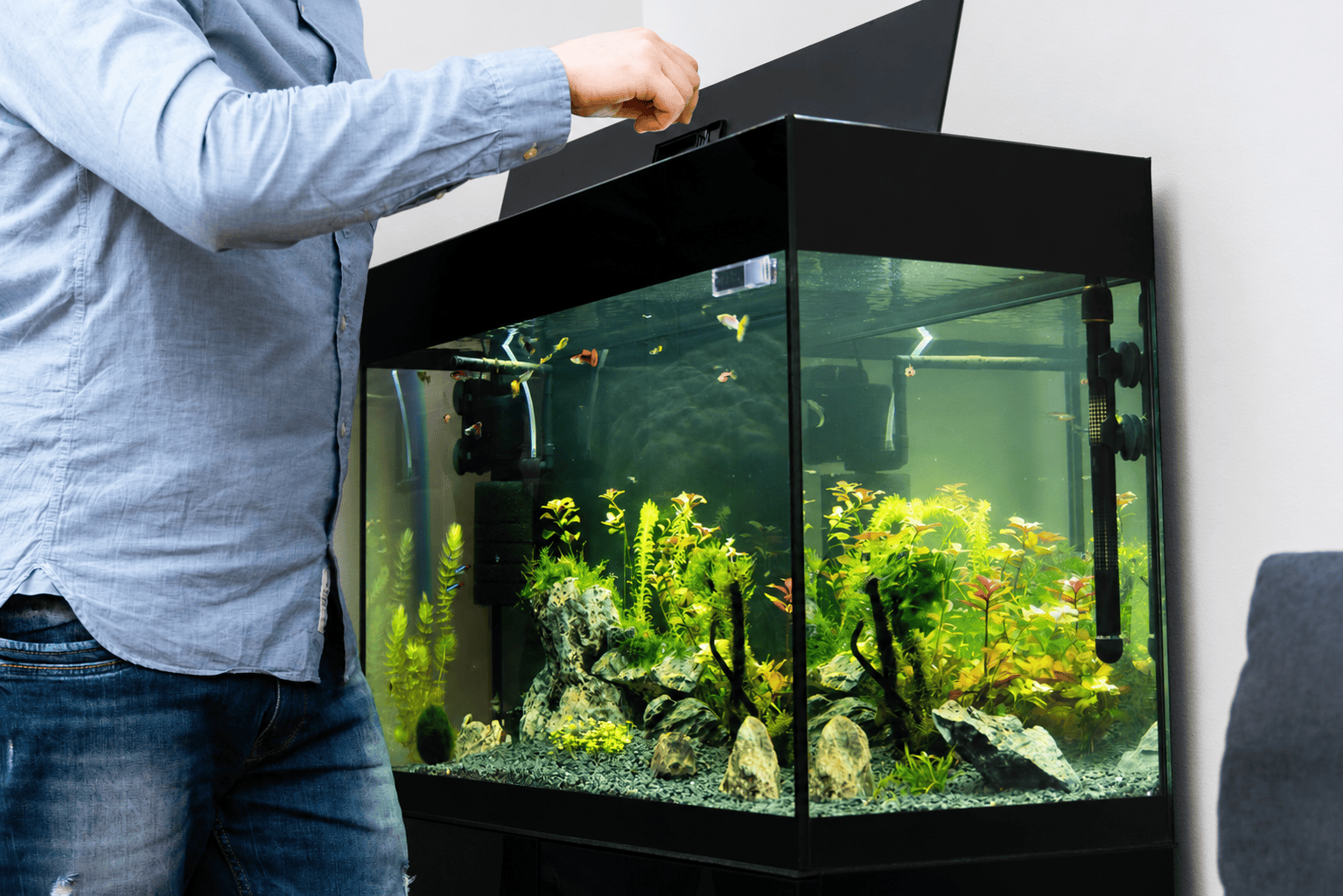 50 Gallon Fish Tank Dimensions