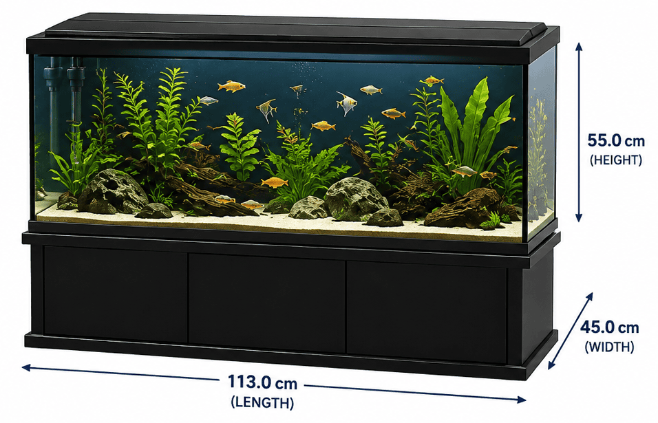 100 Gallon Fish Tank Dimensions in CM: Complete Guide