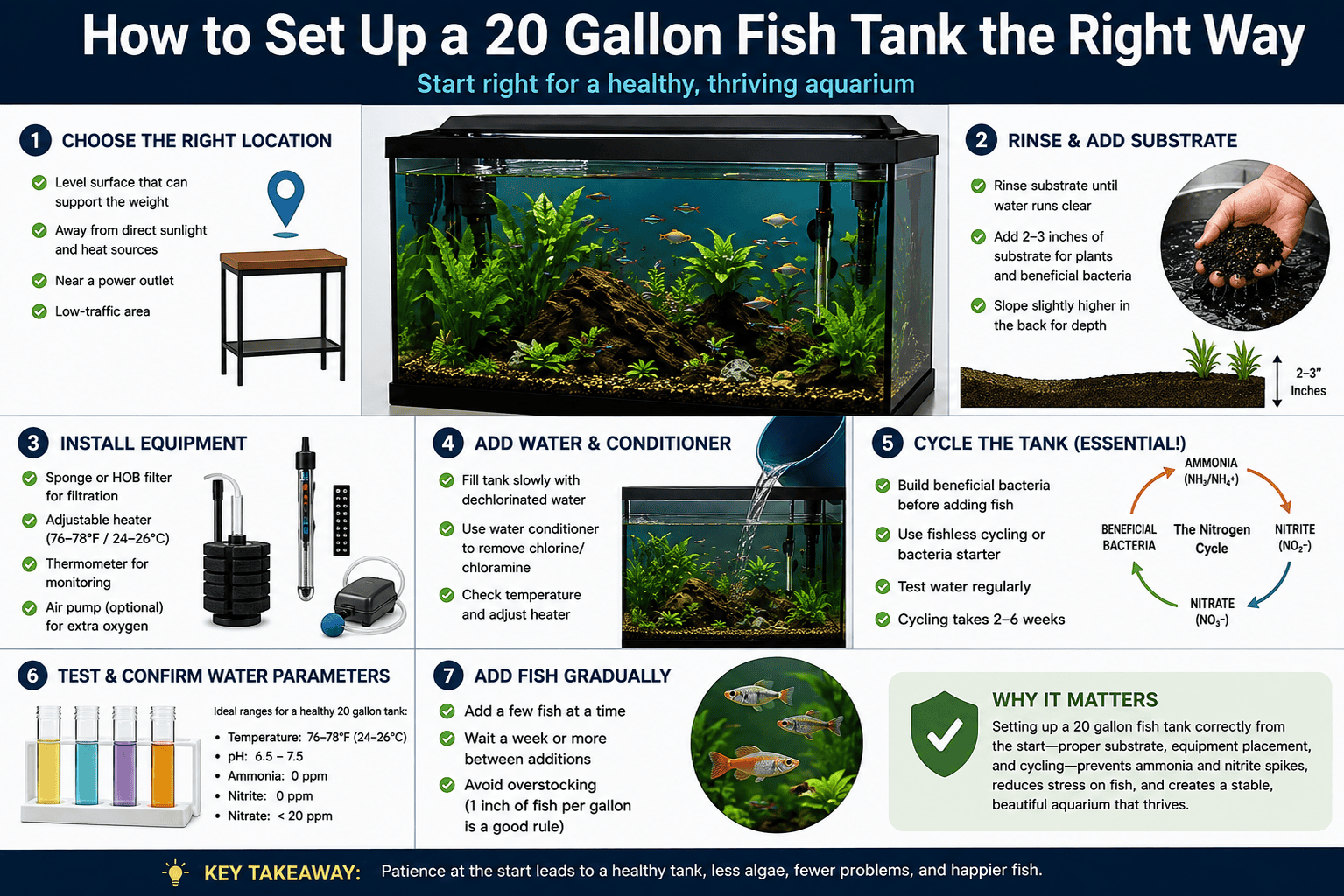 20 gallon fish tank setup with substrate, sponge filter, heater, live plants and cycling process
