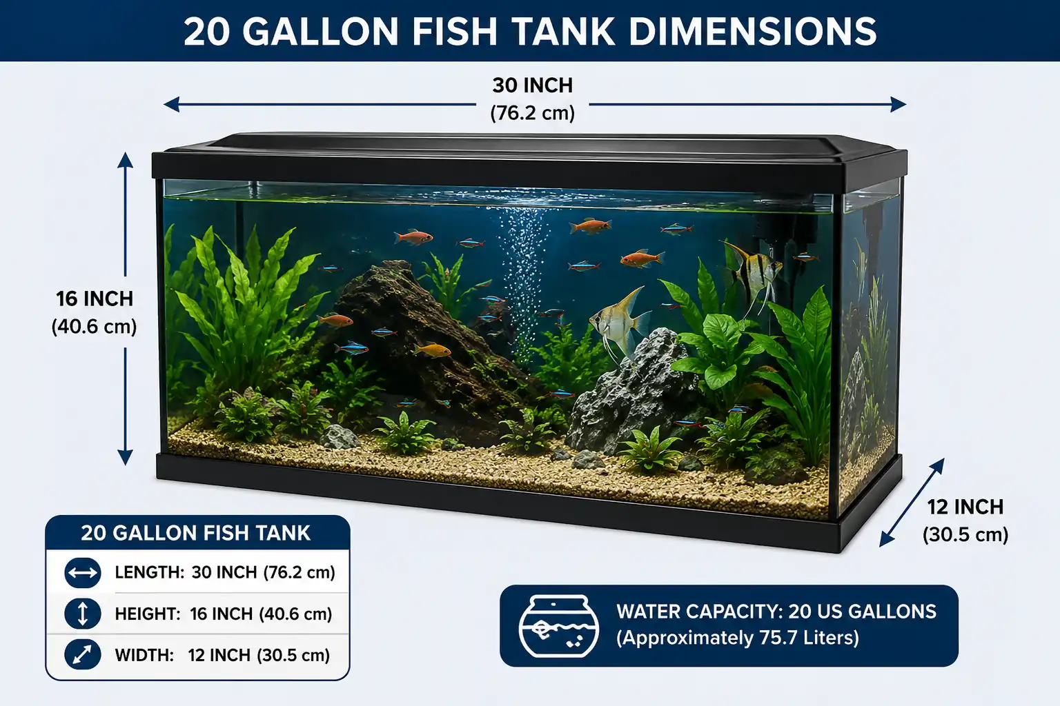 20 gallon fish tank dimensions showing 30 inch length, 12 inch width and 16 inch height