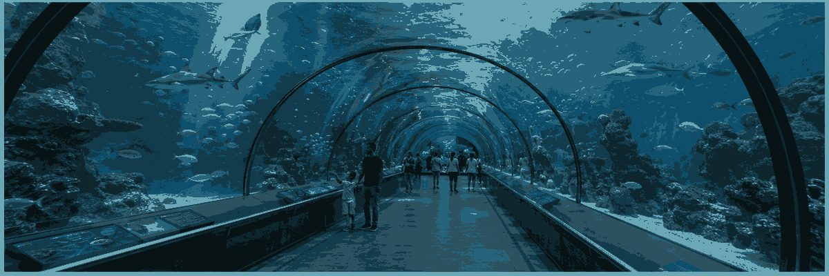 new Constanța aquarium beside the Black Sea