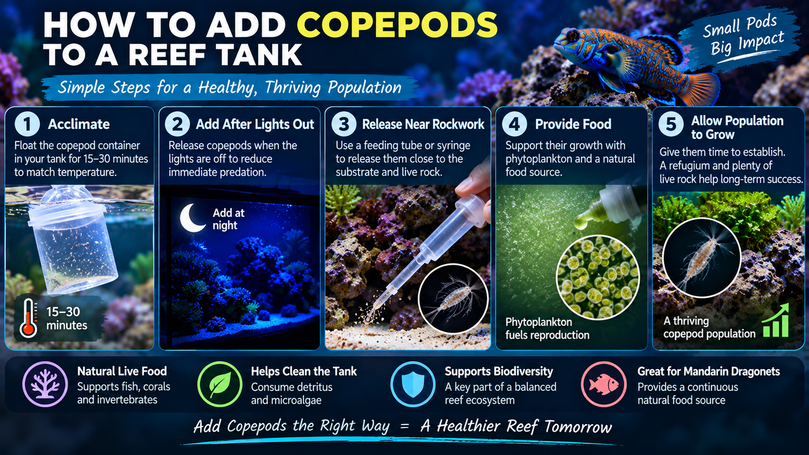 Adding copepods to a reef aquarium near live rock and substrate after lights out