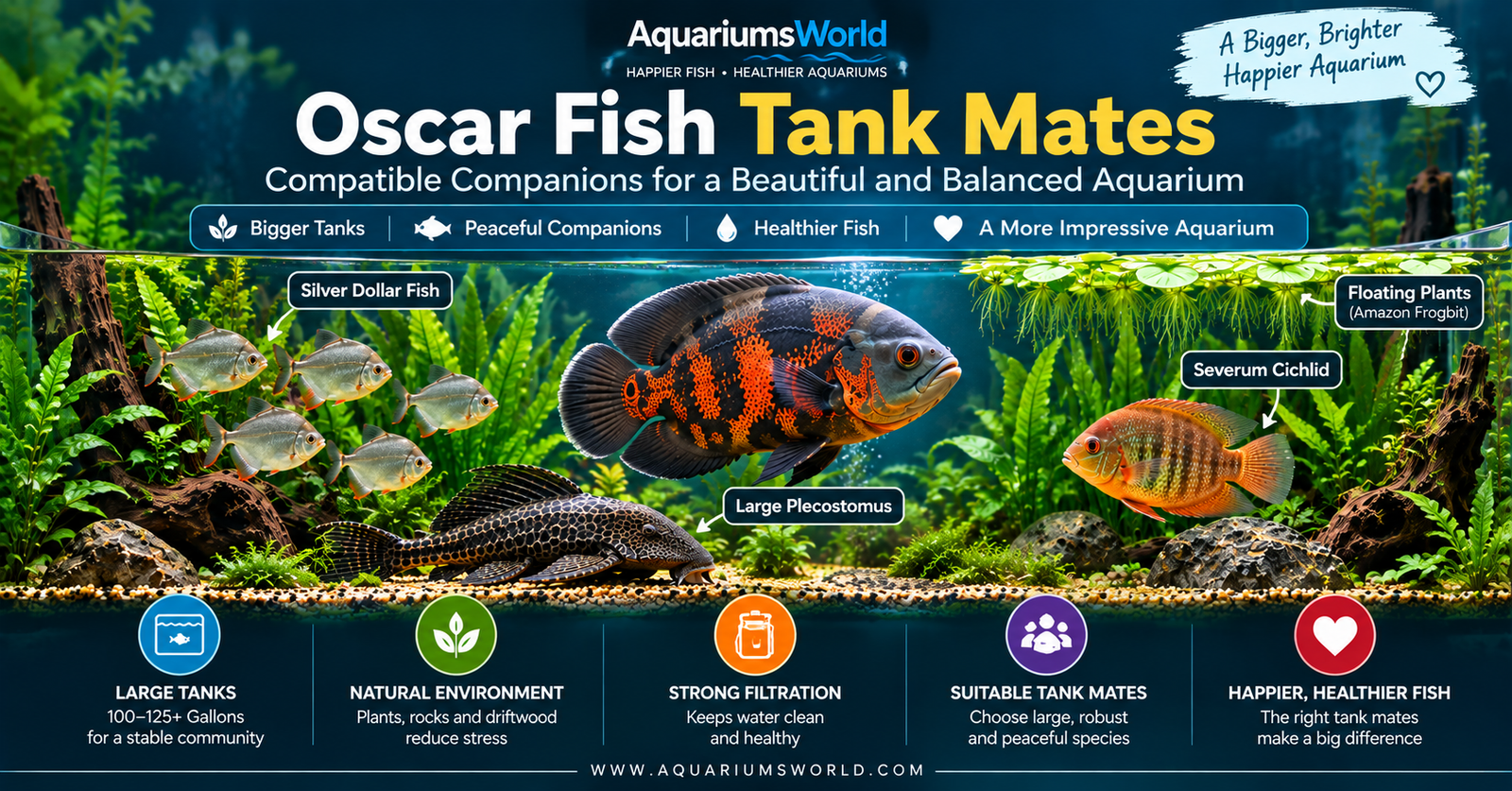 Oscar Fish Tank Mates Compatible Companions for a Healthy Aquarium