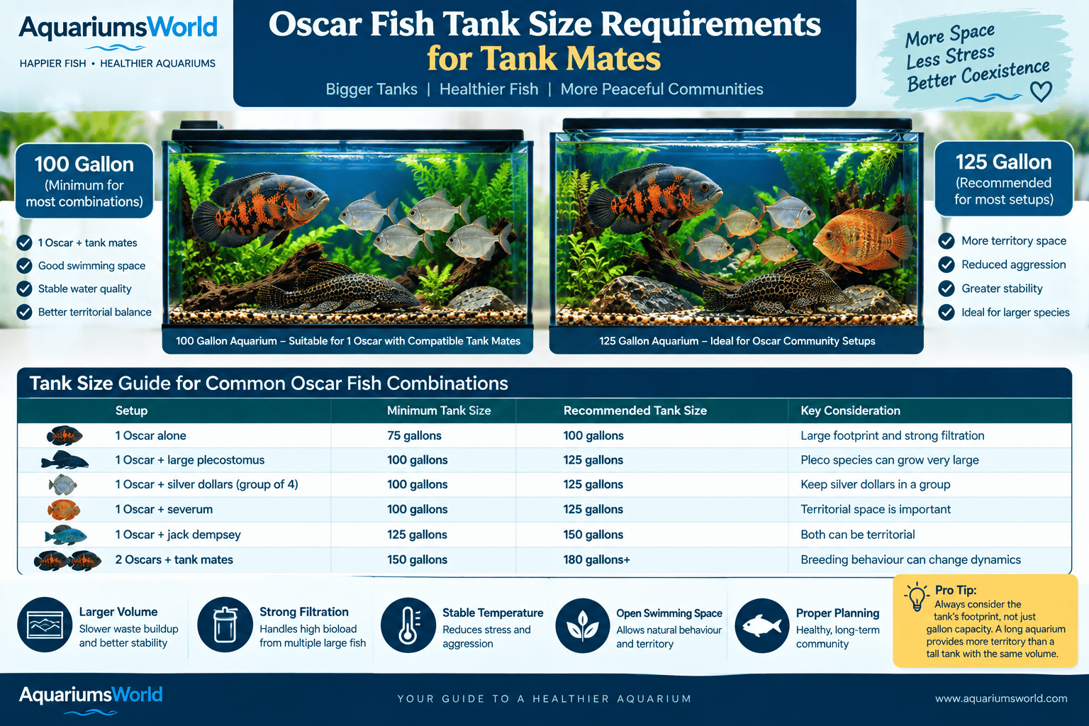 Oscar fish tank mates tank size guide showing 100 gallon and 125 gallon aquarium setups