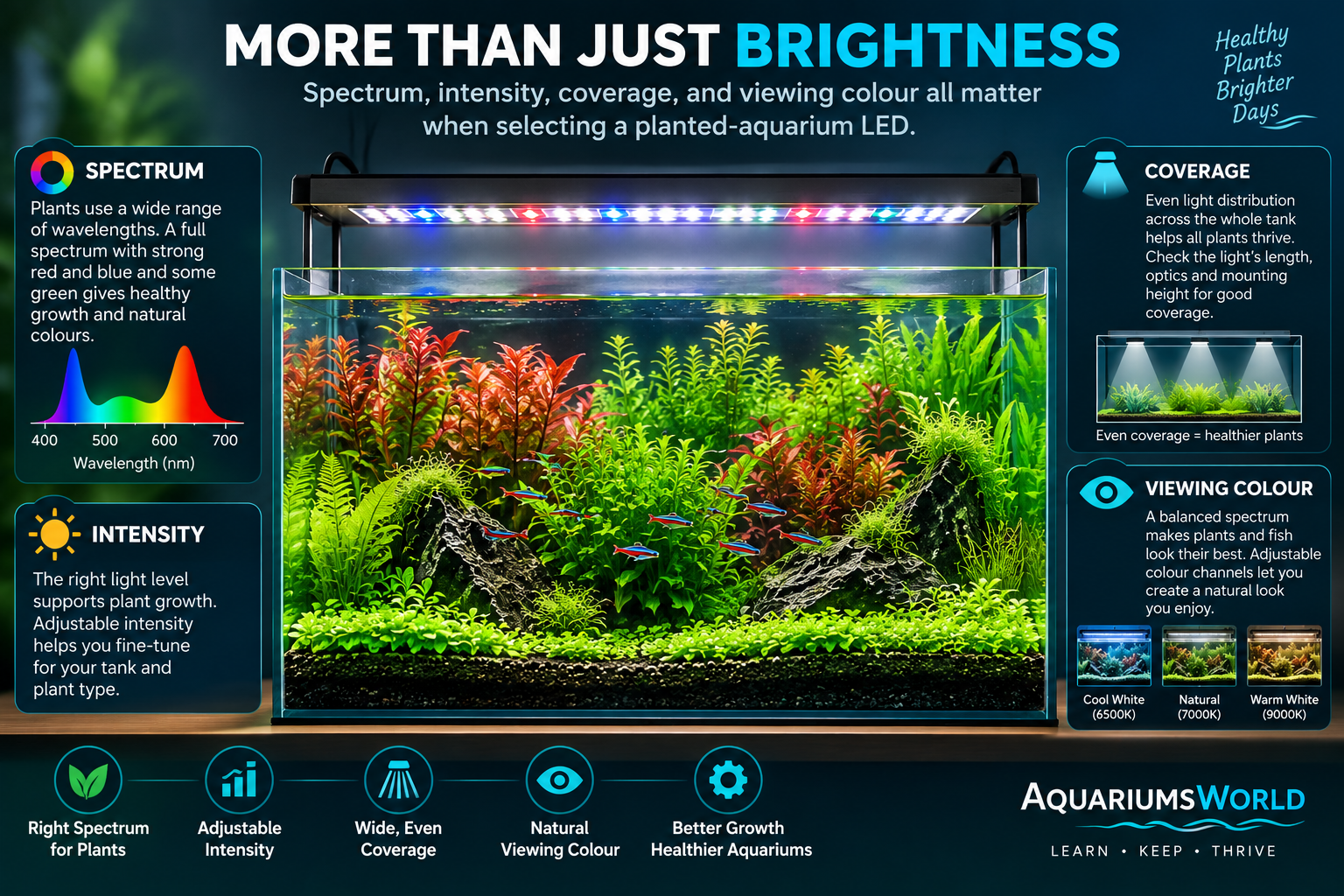 Infographic showing a planted aquarium under an LED light, explaining how spectrum, light intensity, coverage, and viewing colour affect lighting selection.