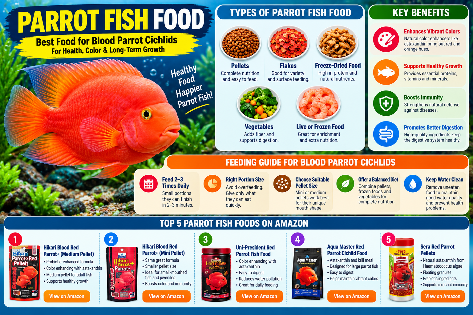 Parrot fish food infographic showing food types, feeding tips, nutrition benefits, and five popular blood parrot cichlid foods